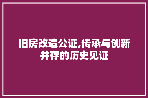 旧房改造公证,传承与创新并存的历史见证