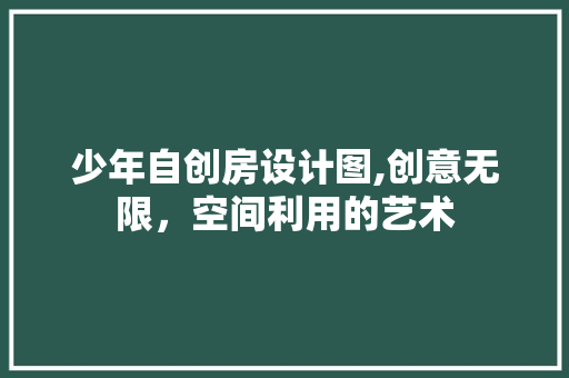 少年自创房设计图,创意无限，空间利用的艺术