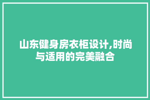 山东健身房衣柜设计,时尚与适用的完美融合