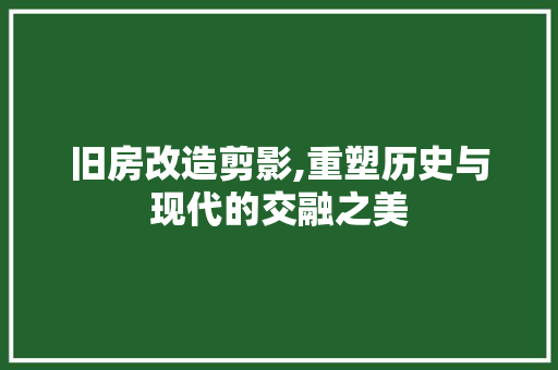 旧房改造剪影,重塑历史与现代的交融之美