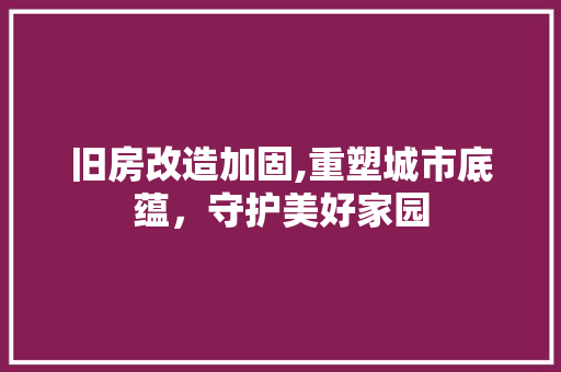 旧房改造加固,重塑城市底蕴，守护美好家园