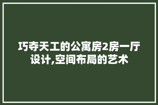 巧夺天工的公寓房2房一厅设计,空间布局的艺术