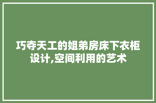 巧夺天工的姐弟房床下衣柜设计,空间利用的艺术