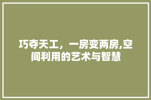 巧夺天工，一房变两房,空间利用的艺术与智慧