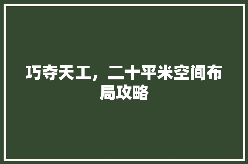 巧夺天工，二十平米空间布局攻略