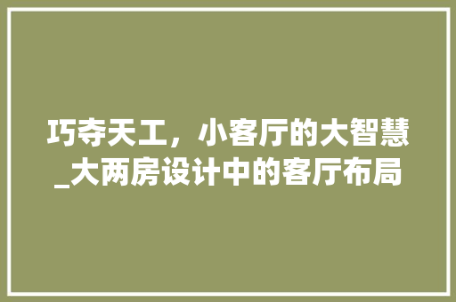 巧夺天工，小客厅的大智慧_大两房设计中的客厅布局艺术