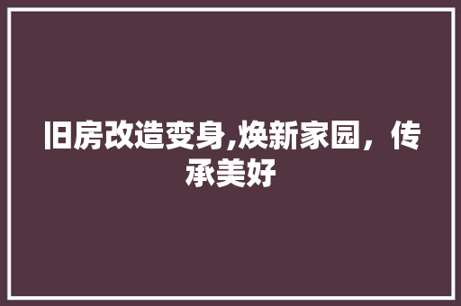 旧房改造变身,焕新家园，传承美好