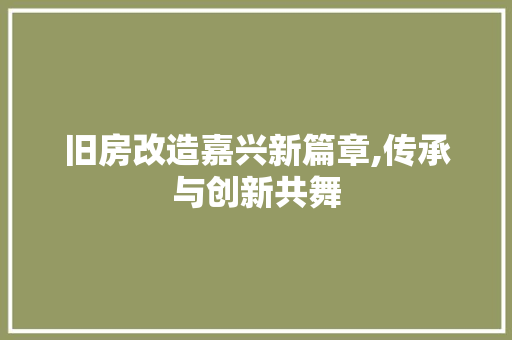 旧房改造嘉兴新篇章,传承与创新共舞