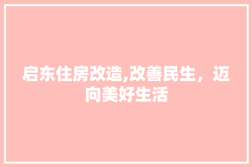启东住房改造,改善民生，迈向美好生活