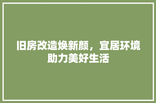 旧房改造焕新颜，宜居环境助力美好生活