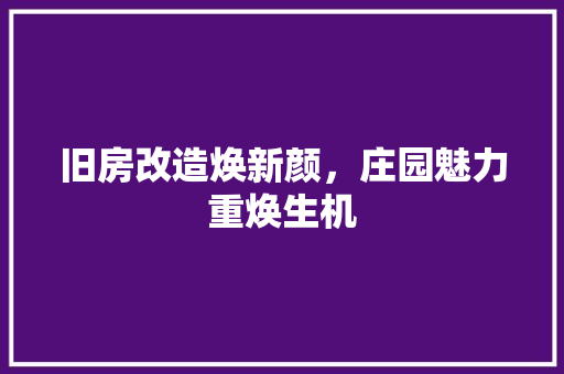 旧房改造焕新颜，庄园魅力重焕生机