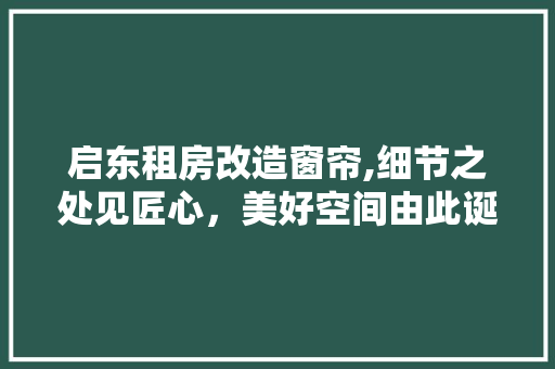 启东租房改造窗帘,细节之处见匠心，美好空间由此诞生