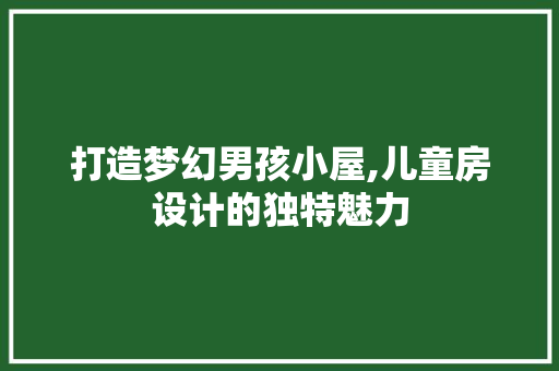 打造梦幻男孩小屋,儿童房设计的独特魅力