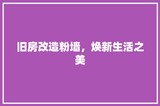 旧房改造粉墙，焕新生活之美