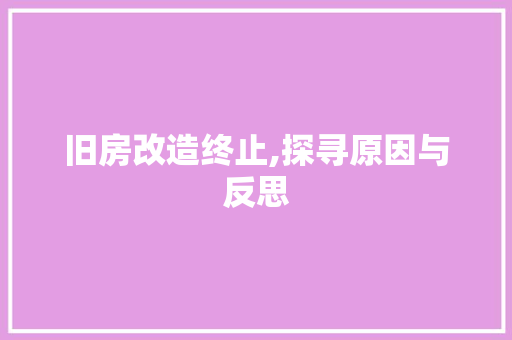 旧房改造终止,探寻原因与反思