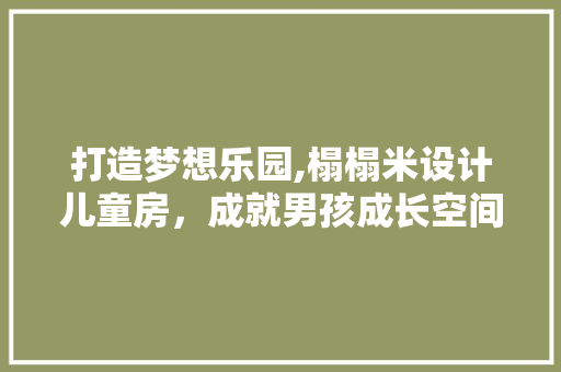 打造梦想乐园,榻榻米设计儿童房，成就男孩成长空间