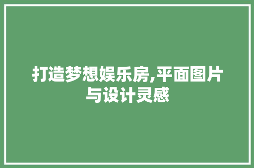 打造梦想娱乐房,平面图片与设计灵感