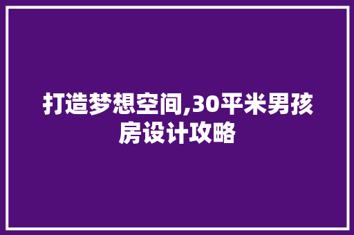 打造梦想空间,30平米男孩房设计攻略