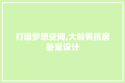 打造梦想空间,大龄男孩房卧室设计