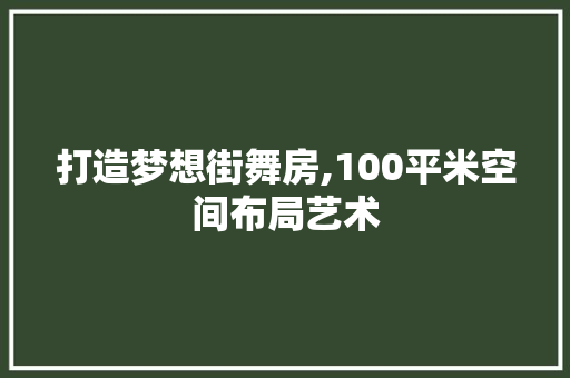 打造梦想街舞房,100平米空间布局艺术