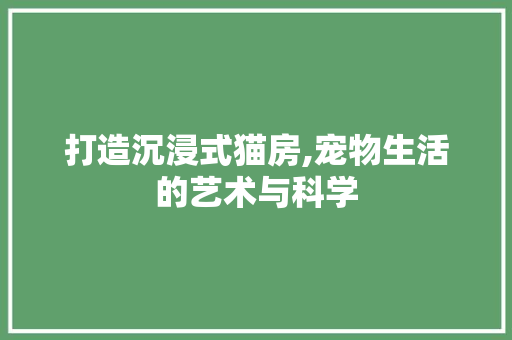打造沉浸式猫房,宠物生活的艺术与科学