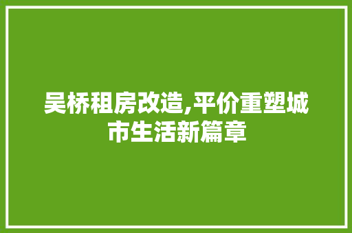吴桥租房改造,平价重塑城市生活新篇章