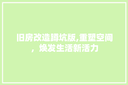 旧房改造蹲坑版,重塑空间，焕发生活新活力