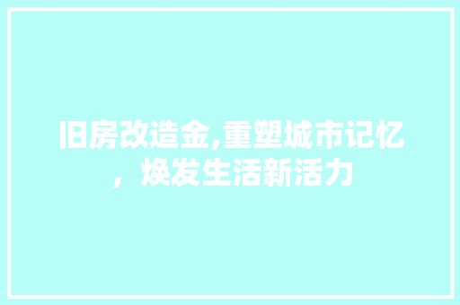 旧房改造金,重塑城市记忆，焕发生活新活力