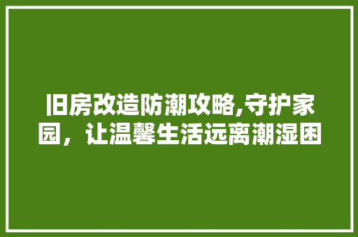 旧房改造防潮攻略,守护家园，让温馨生活远离潮湿困扰