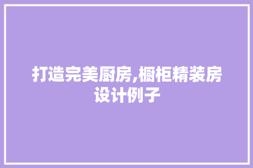 打造完美厨房,橱柜精装房设计例子