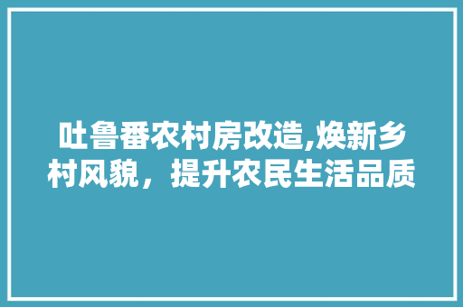 吐鲁番农村房改造,焕新乡村风貌，提升农民生活品质