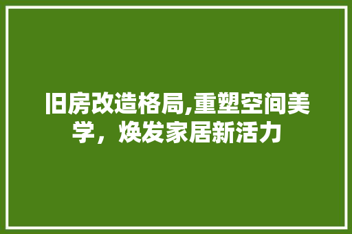 旧房改造格局,重塑空间美学，焕发家居新活力