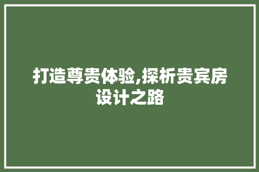 打造尊贵体验,探析贵宾房设计之路