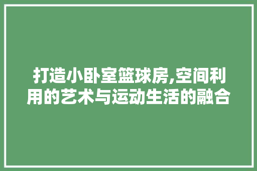 打造小卧室篮球房,空间利用的艺术与运动生活的融合