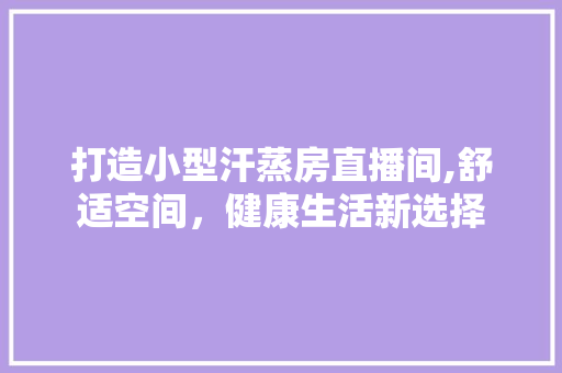 打造小型汗蒸房直播间,舒适空间，健康生活新选择