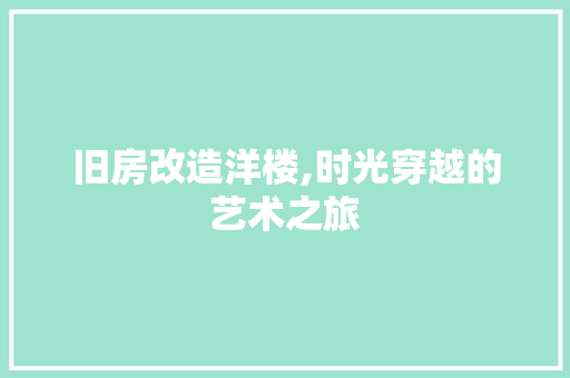旧房改造洋楼,时光穿越的艺术之旅
