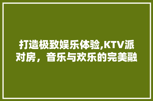 打造极致娱乐体验,KTV派对房，音乐与欢乐的完美融合