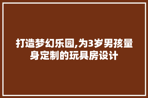 打造梦幻乐园,为3岁男孩量身定制的玩具房设计