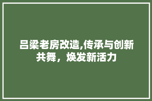 吕梁老房改造,传承与创新共舞，焕发新活力