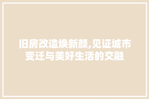 旧房改造焕新颜,见证城市变迁与美好生活的交融
