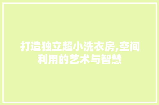 打造独立超小洗衣房,空间利用的艺术与智慧