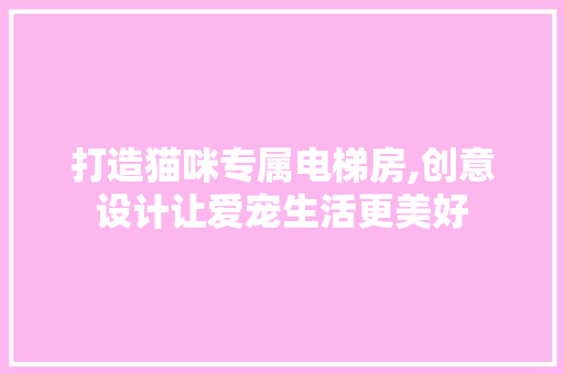 打造猫咪专属电梯房,创意设计让爱宠生活更美好