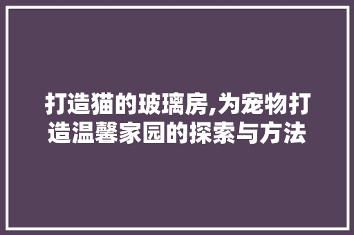打造猫的玻璃房,为宠物打造温馨家园的探索与方法