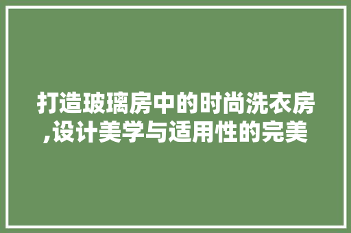 打造玻璃房中的时尚洗衣房,设计美学与适用性的完美融合