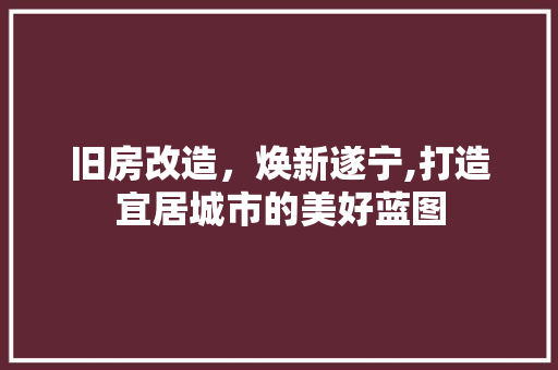旧房改造，焕新遂宁,打造宜居城市的美好蓝图