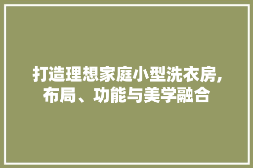 打造理想家庭小型洗衣房,布局、功能与美学融合