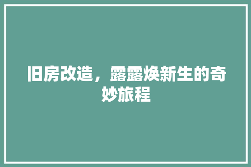旧房改造，露露焕新生的奇妙旅程