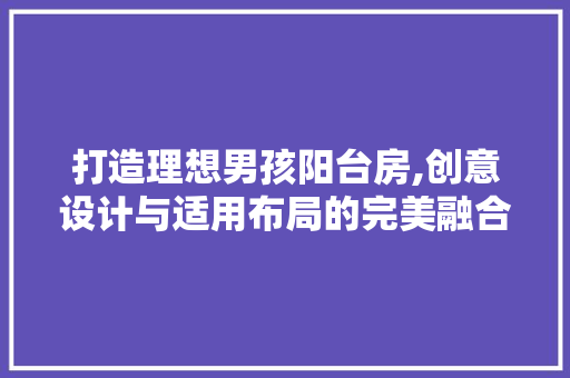 打造理想男孩阳台房,创意设计与适用布局的完美融合