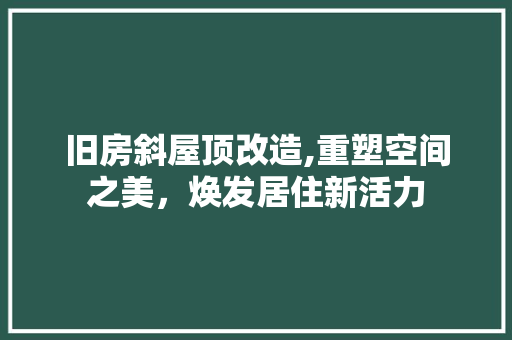 旧房斜屋顶改造,重塑空间之美，焕发居住新活力