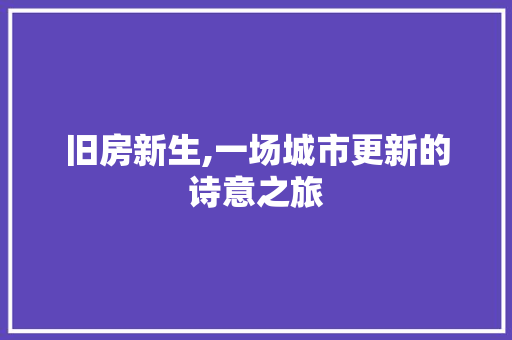 旧房新生,一场城市更新的诗意之旅
